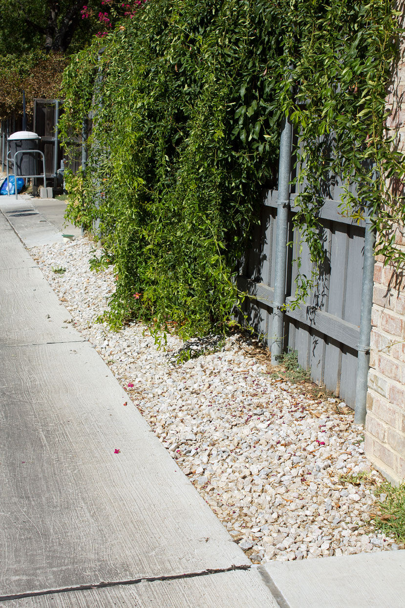 (above) This neighboring alley was rebuilt two years ago using aggregate as the filler in the easement.