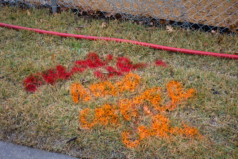 (above) The utility folks have scrawled their personal graffiti on the remaining unviolated portion of grass in my alley right-of-way.