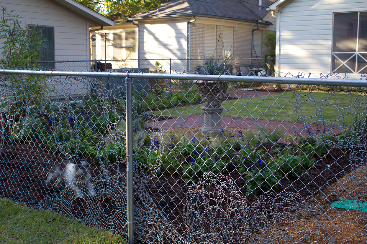 (above) This photo of the backyard's Lace Fence was taken back in 2011 just after my new back garden had been installed. That's my sweet departed Bubba being the perfect guard dog.