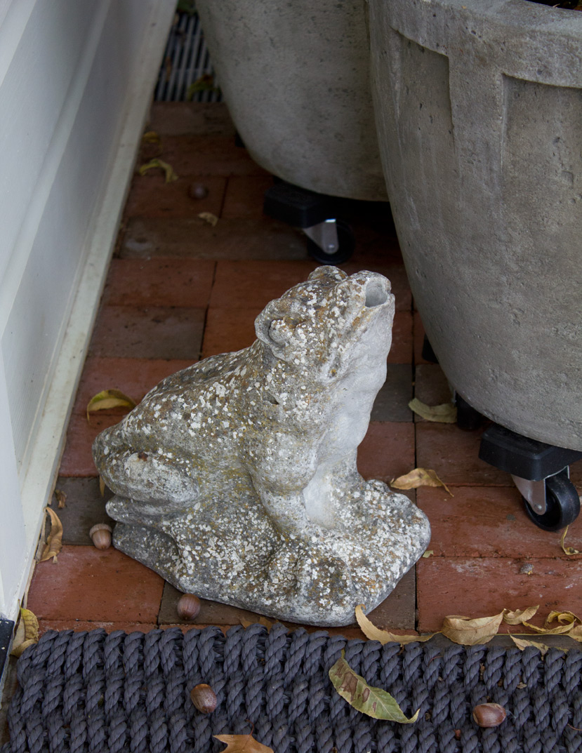 (above) So far neither of my dogs have felt compelled to pee on him.