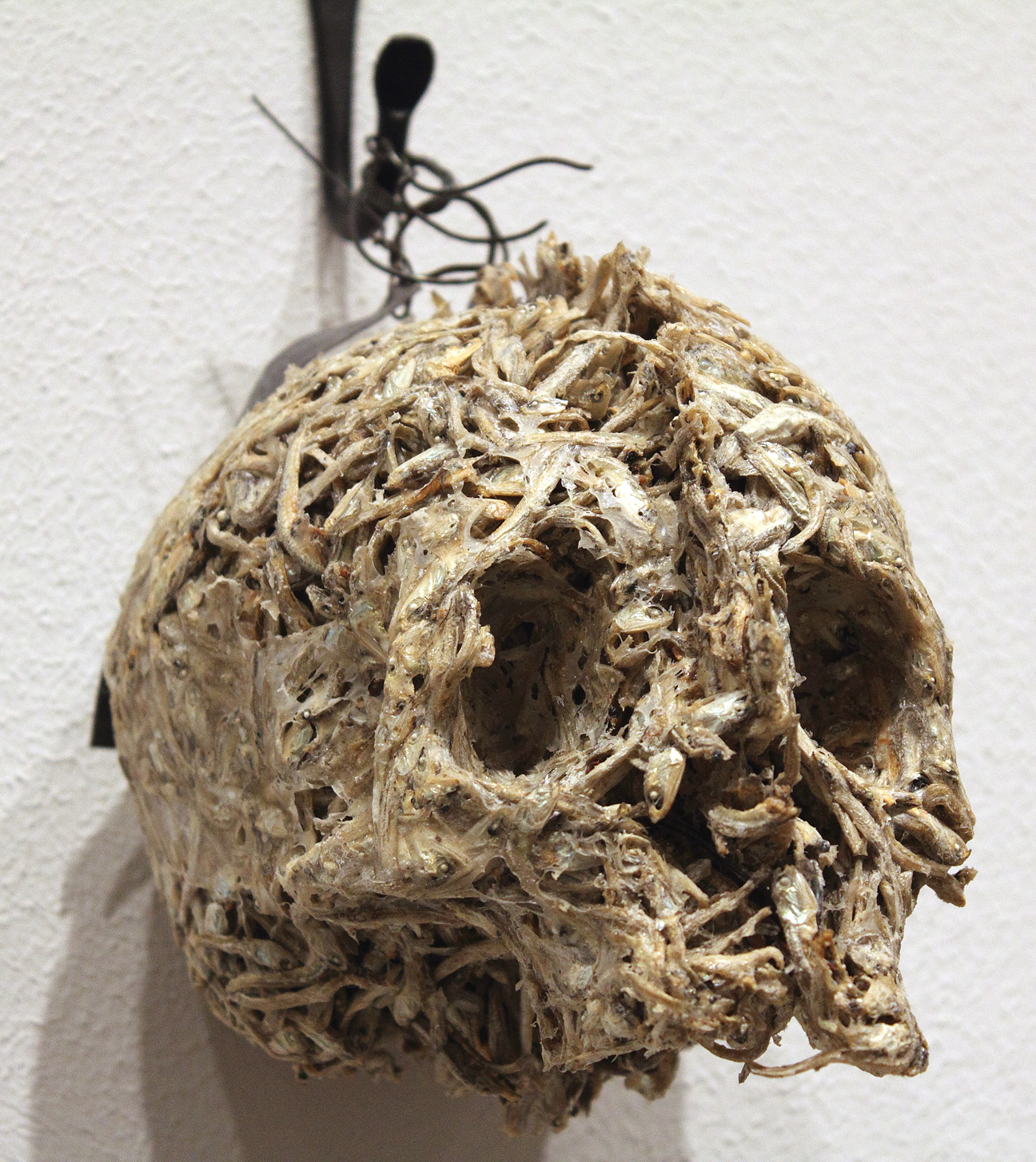 (above) Helen Altman, 'Anchovy Skull,' 2009. Dried anchovies, wire, and glue, 7 x 8 x 5 inches