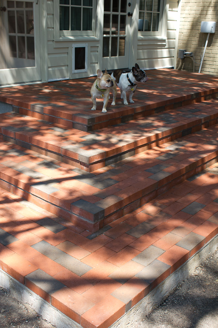 Bertha and Bubba survey the realm from their new lofty perch. I'm pretty sure with time and exposure, the intense color of the steps will eventually tone down as my front doorsteps have.
