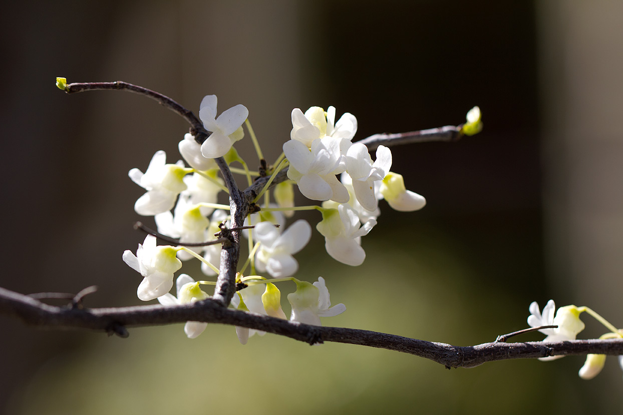 Nature can be quirky and beautiful.