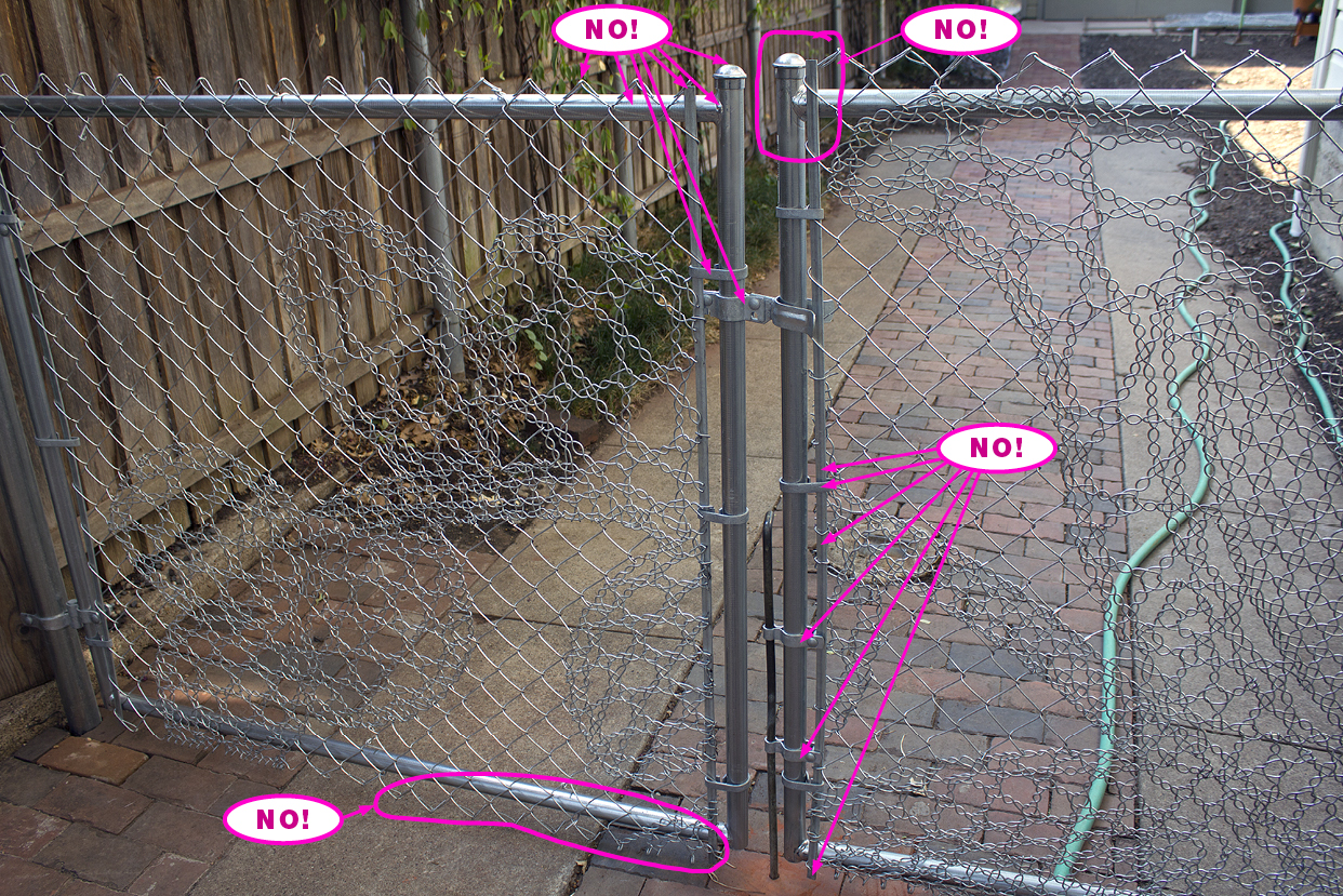 (above) This photo was taken in 2011 after the lace fence and gate were installed the first time.