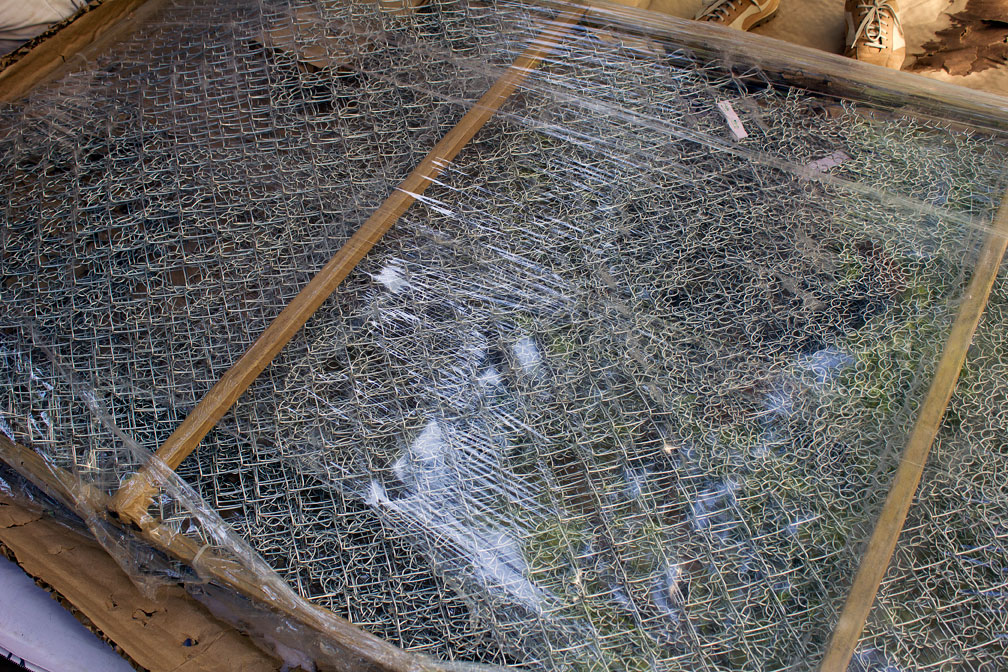 (above) A closer view of the lace chain link fabric