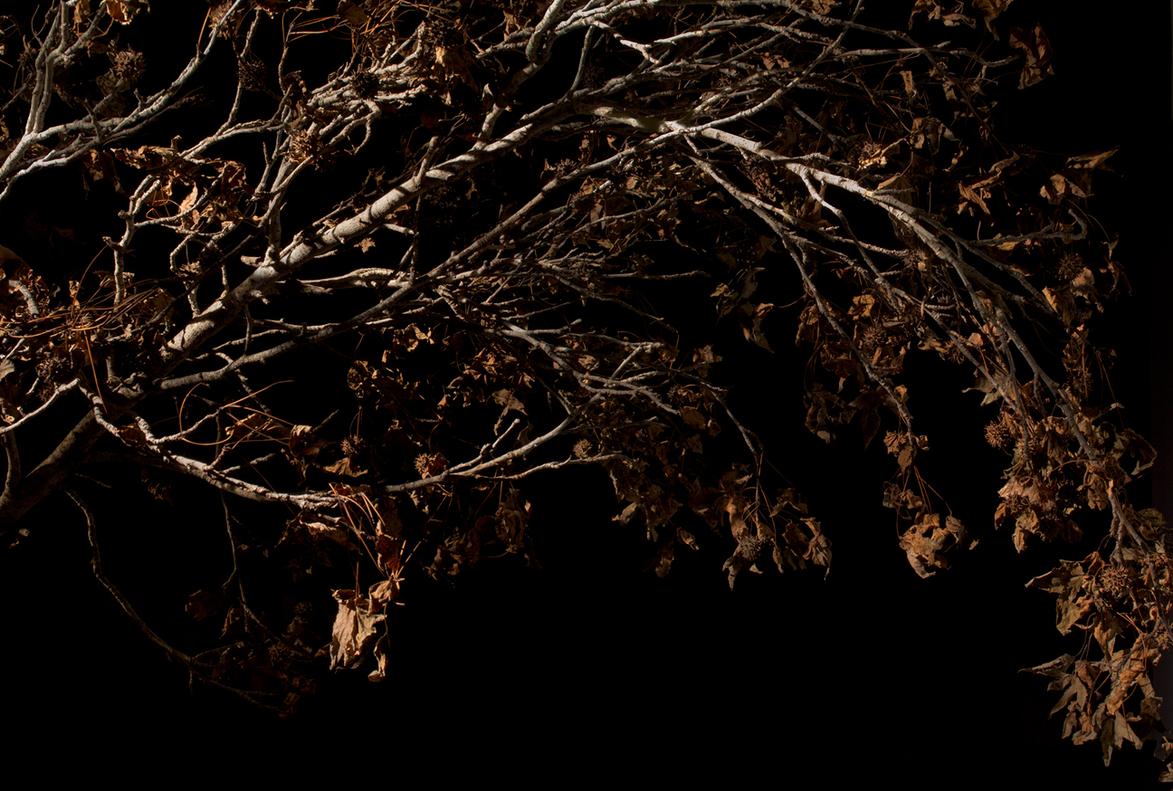 (above) Bryan Florentin, 'Night Window 2'